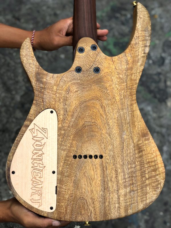 Balkatora 6 strings (Buckeye Burl) - Image 6